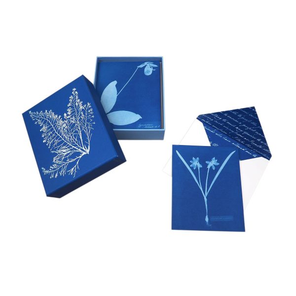 Sunprint Notecards: The Cyanotypes of Anna Atkins on Sale