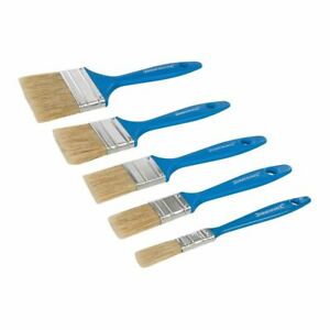 Disposable Paint Brush Set 5pce Sale