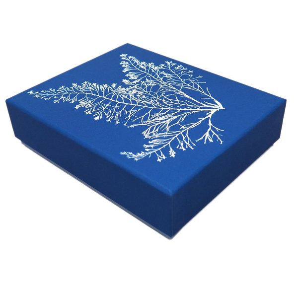 Sunprint Notecards: The Cyanotypes of Anna Atkins on Sale