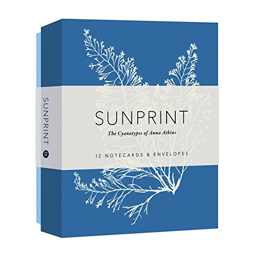 Sunprint Notecards: The Cyanotypes of Anna Atkins on Sale