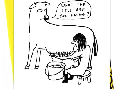 David Shrigley What The Hell Are You Doing Greetings Card For Cheap