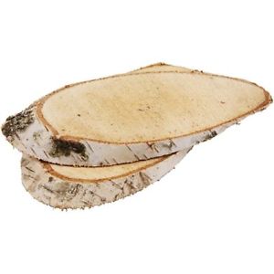 Birch Wood Slices For Cheap