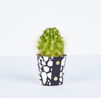 Cobbles Plant Cover For Cheap