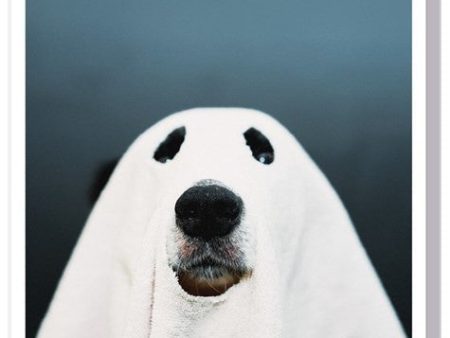 1000 Words Card Ghost Dog For Sale